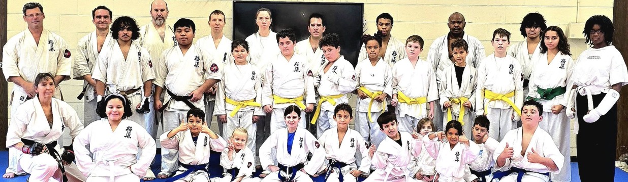 Main image of Seishin Association of Kyokushin Karate