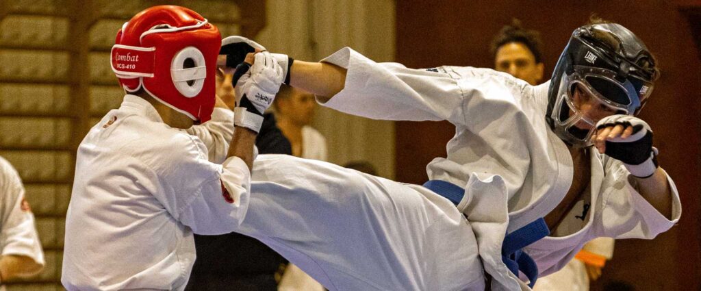 Main image of Seishin Dojo Ancona