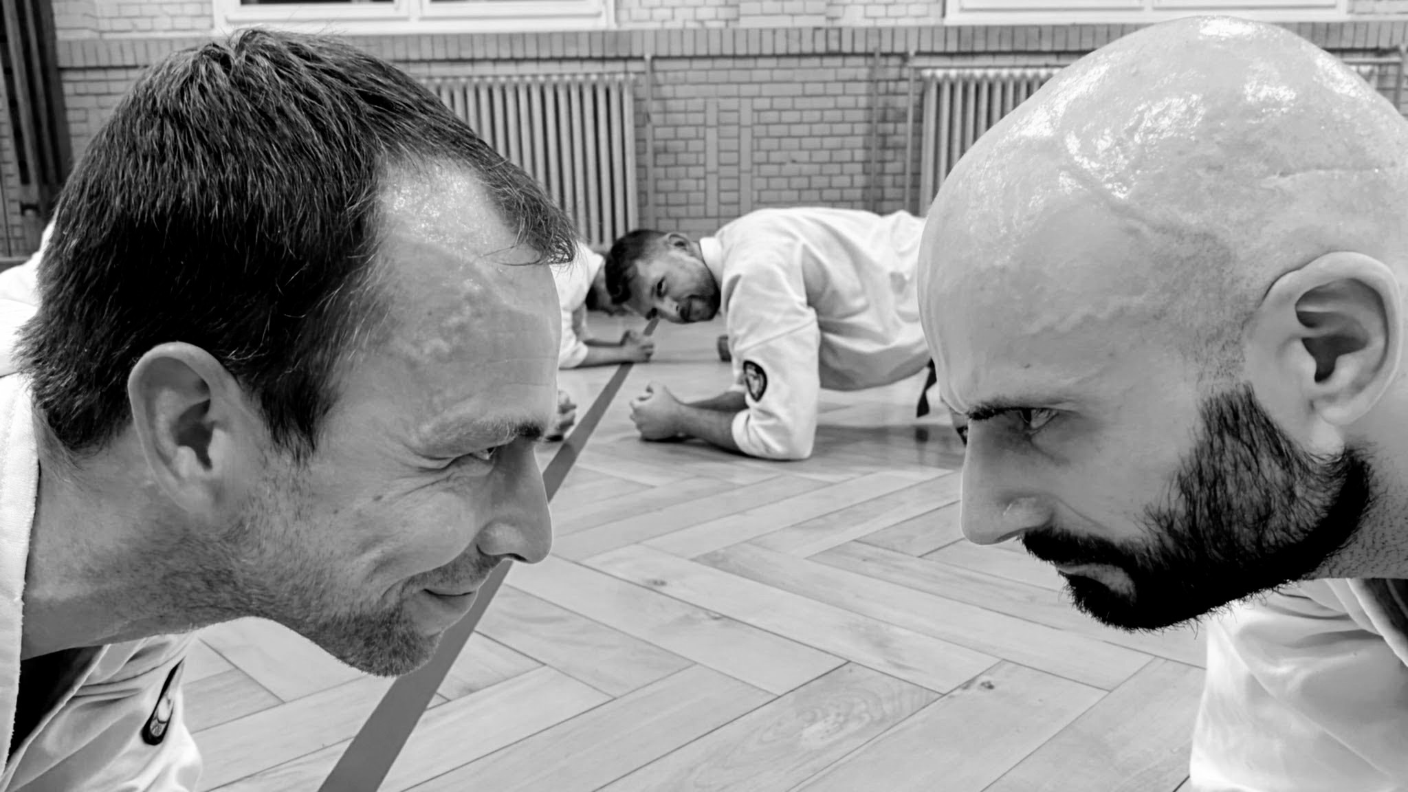 Main image of Seishin Dojo