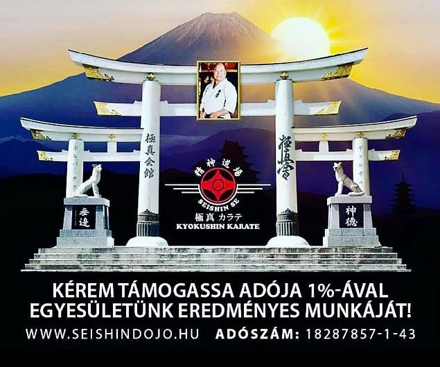 Main image of Seishin Dojo - Kyokushin Karate