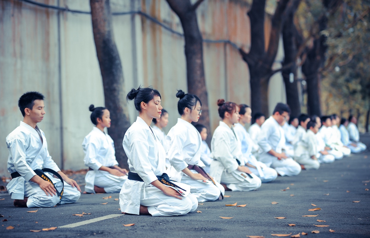 Main image of Seishin karate do