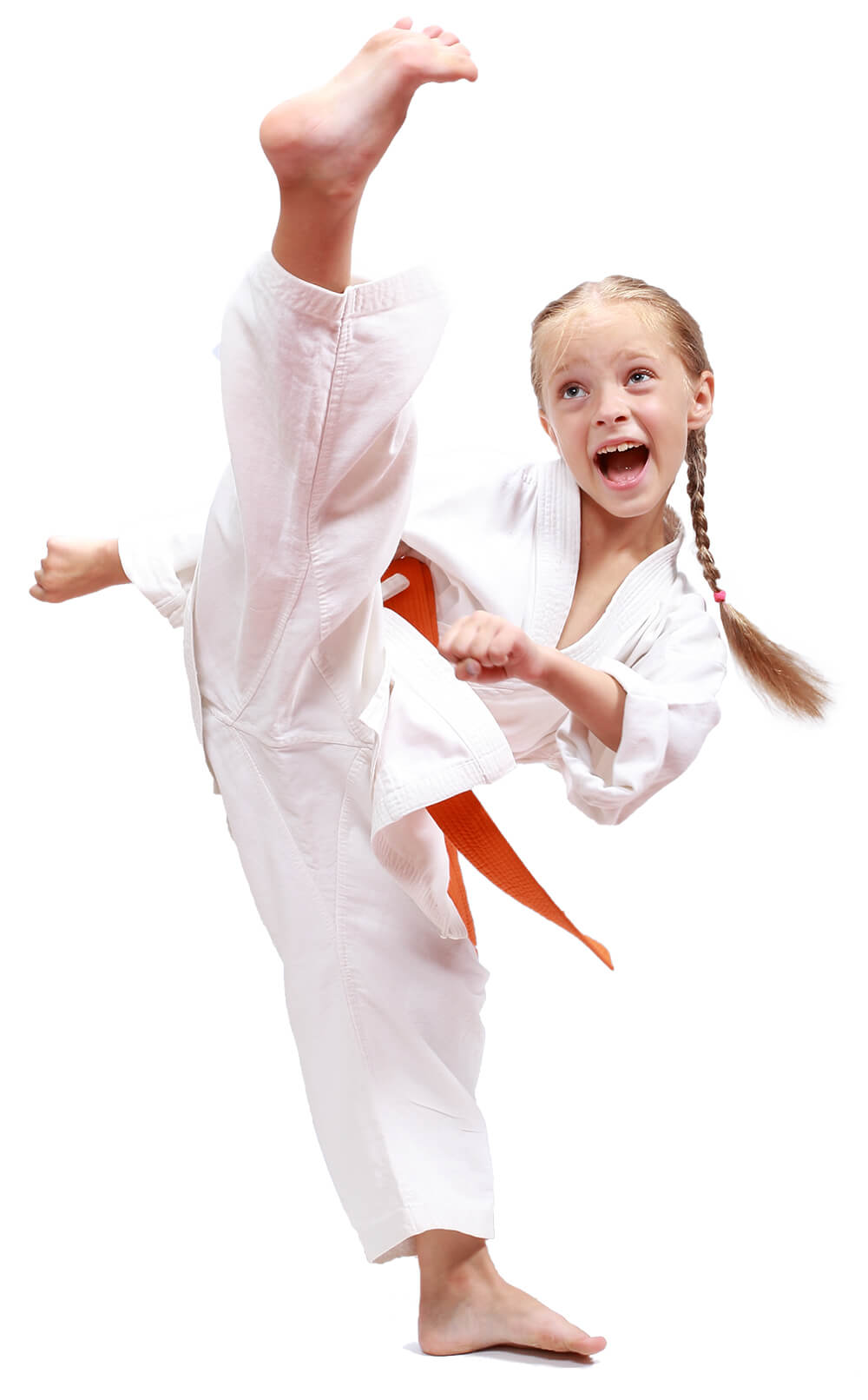 Main image of Seishin Martial Arts Academy