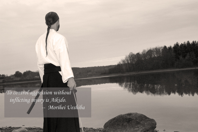 Main image of Seishin Ryoku Aikido School