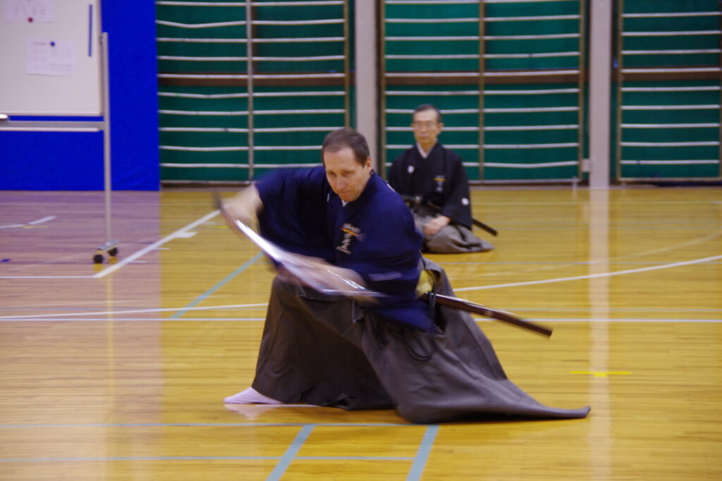 Main image of Seishinkan Iaido