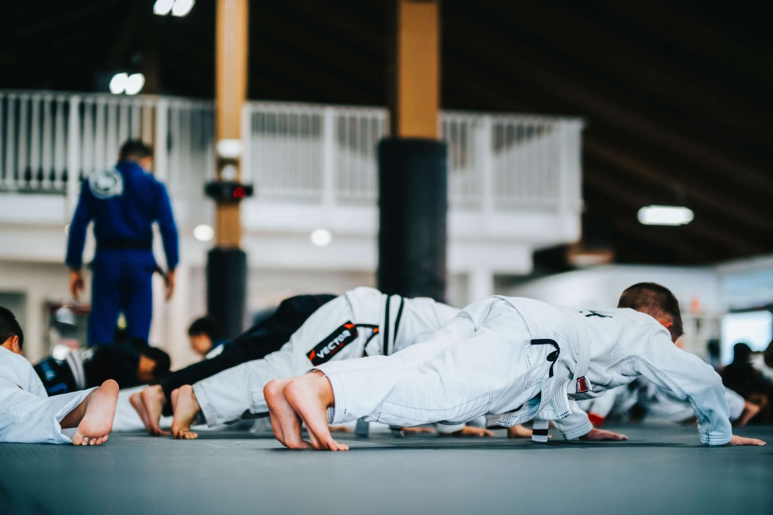 Sektor Jiu Jitsu Chino