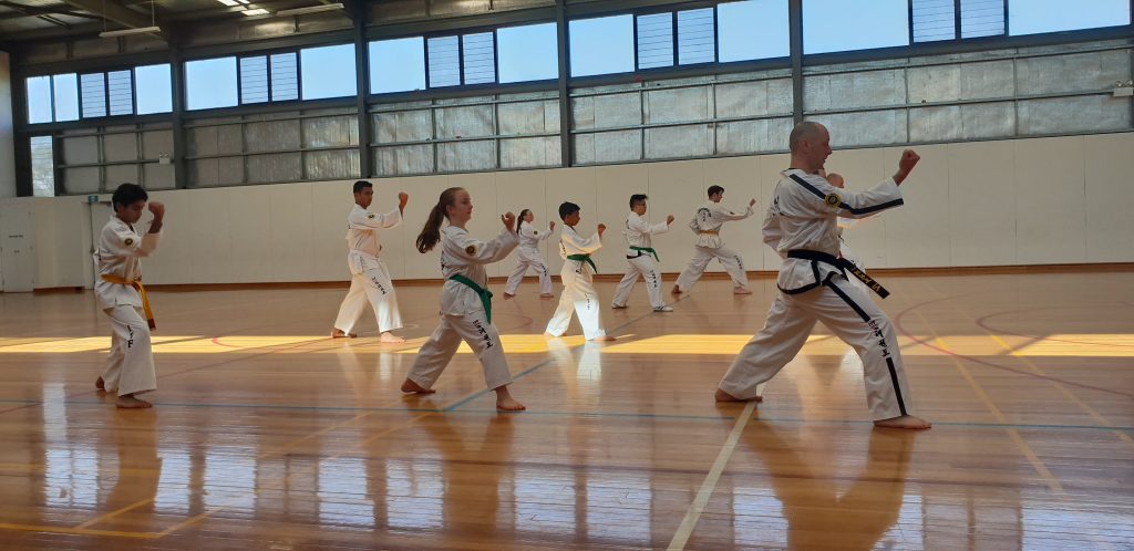 Main image of SEL Taekwondo
