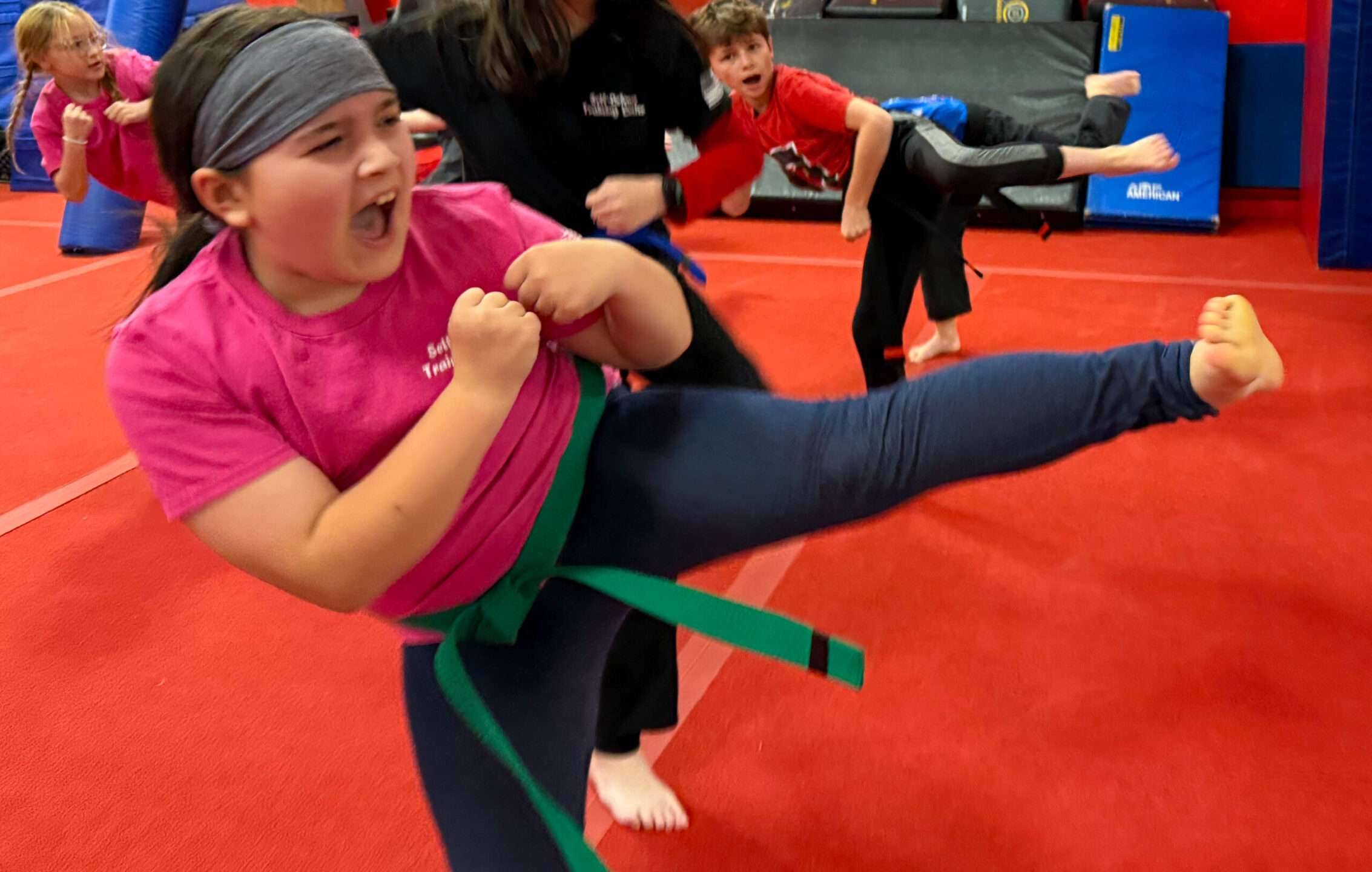 Main image of Self Defense Training Center