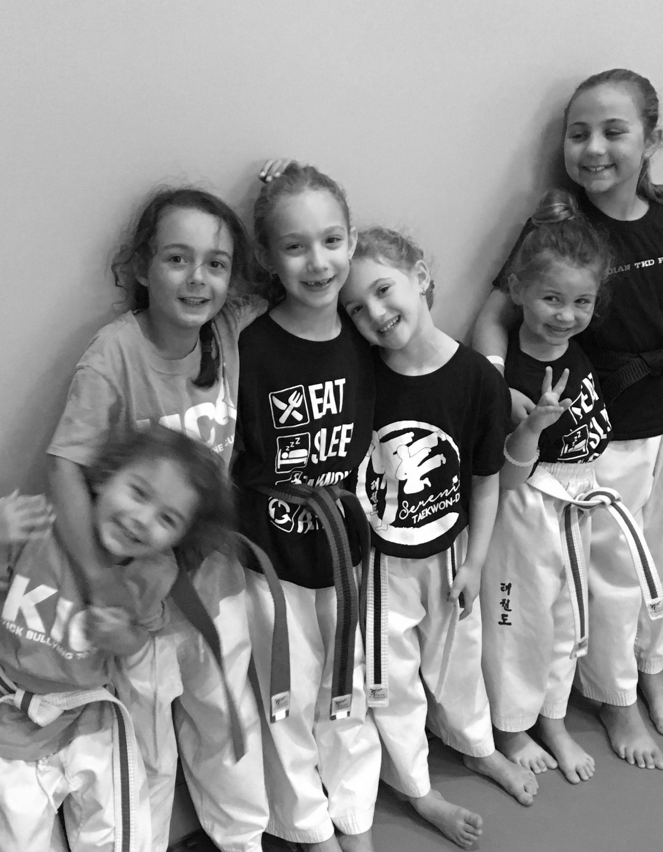 Main image of Serenity Taekwondo