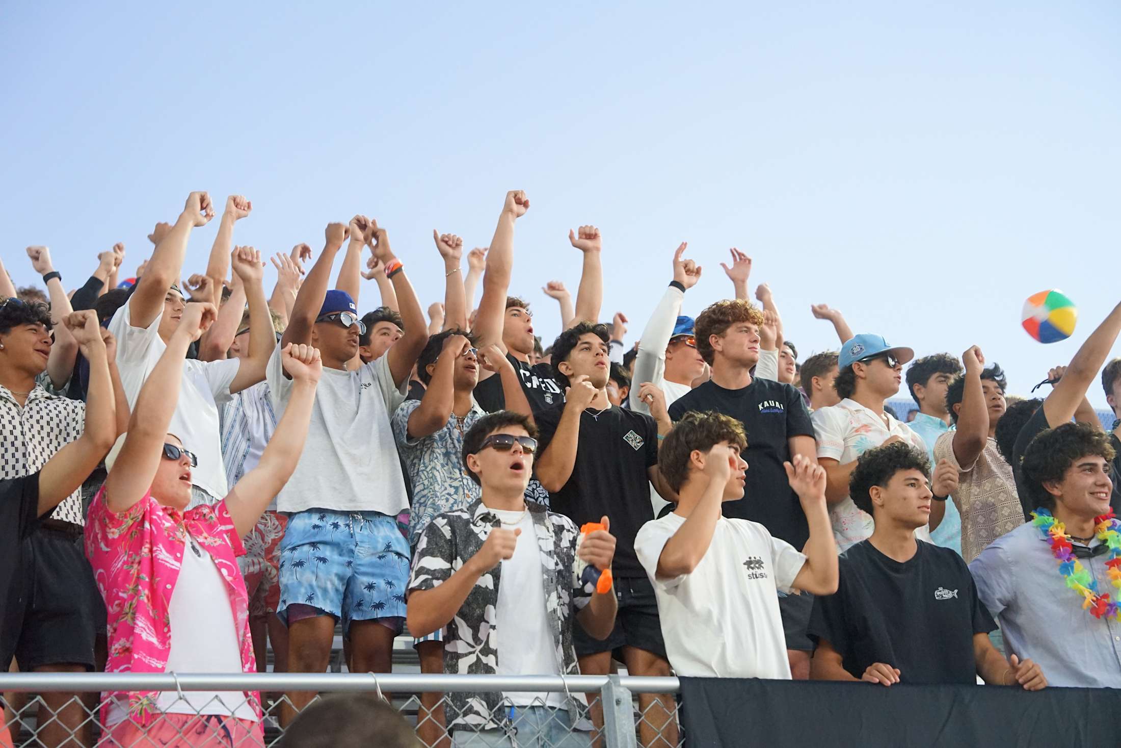 Main image of Servite