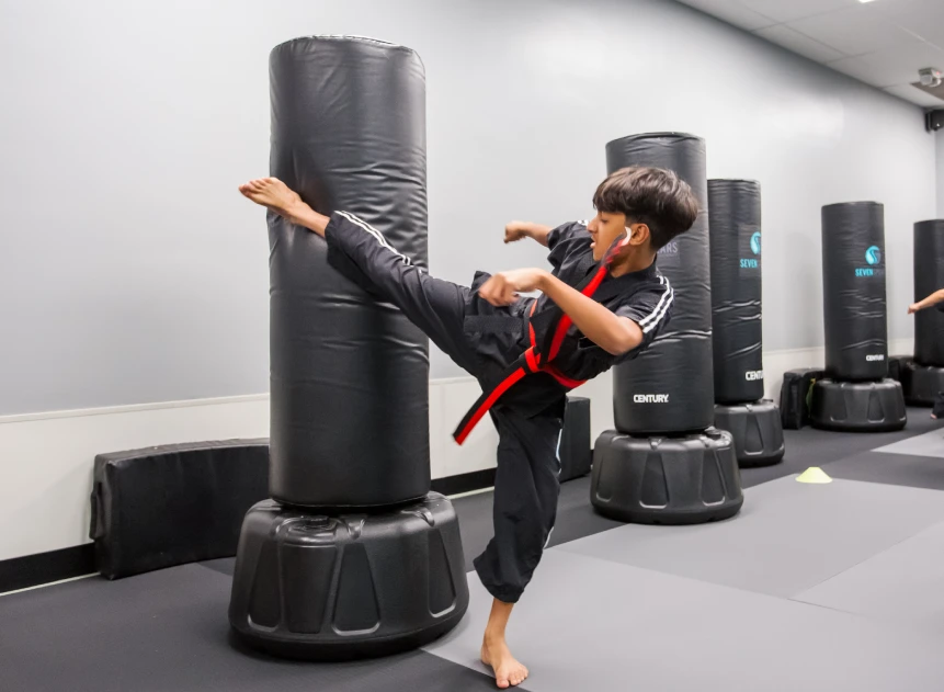 Main image of SEVEN SPEARS MARTIAL ARTS ACADEMY