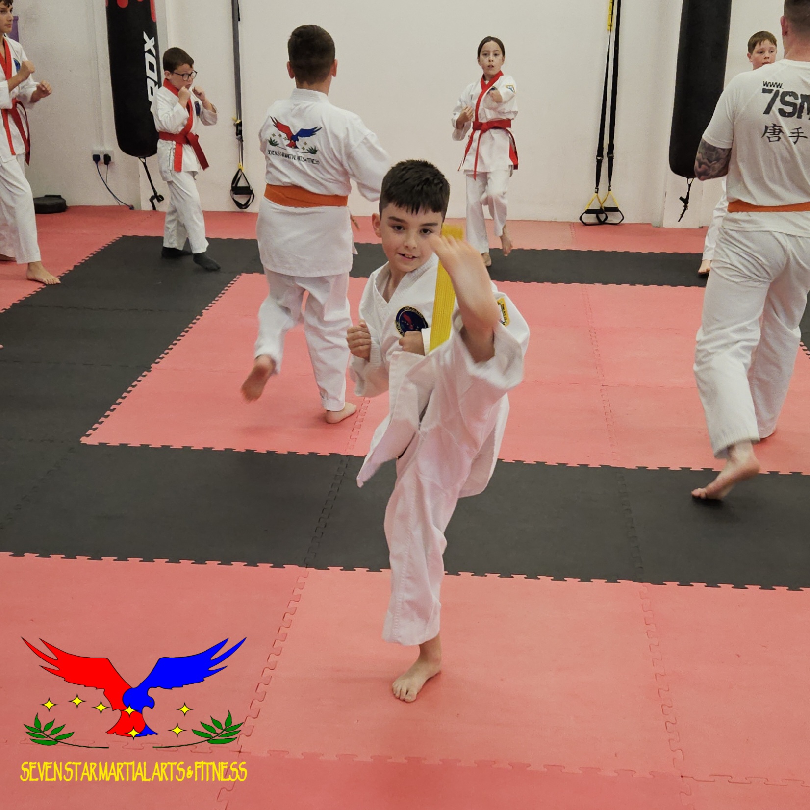 Main image of Seven Star Martial Arts and Fitness
