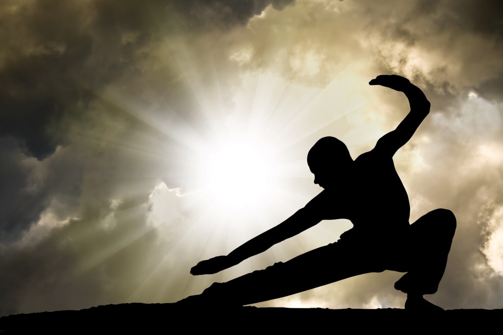 Main image of Shadow Fist Kung Fu and Tai Chi, LLC