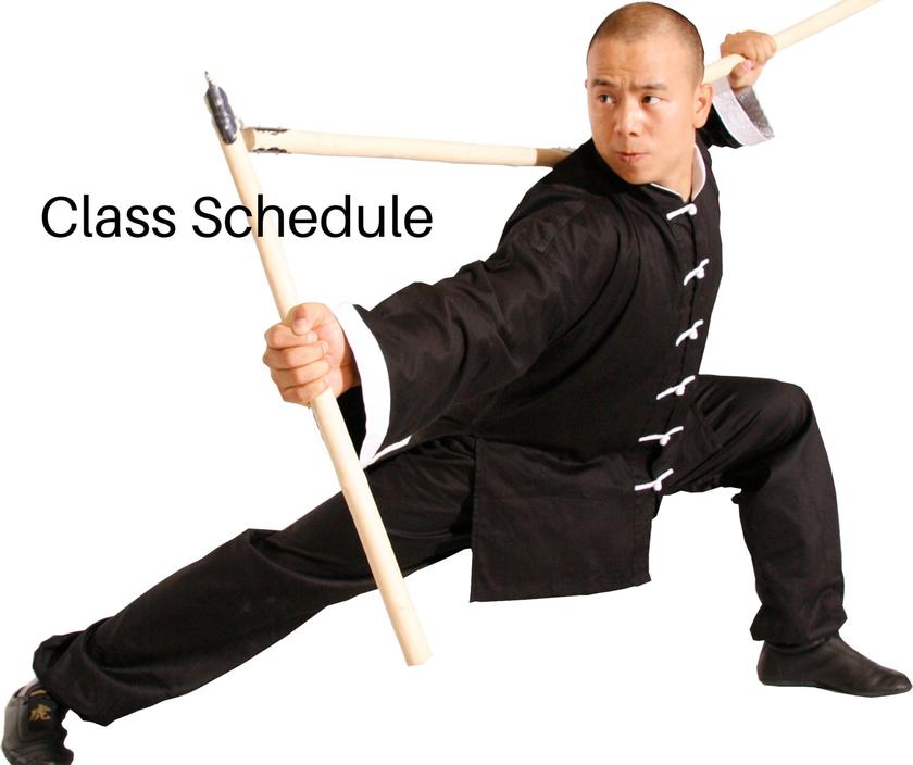Main image of Shaolin Kungfu Chan
