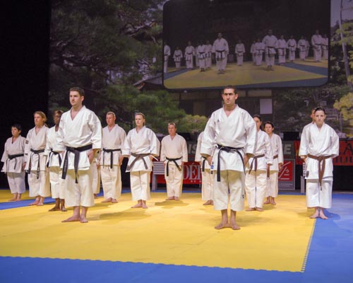 Main image of Shaolin Toulouse