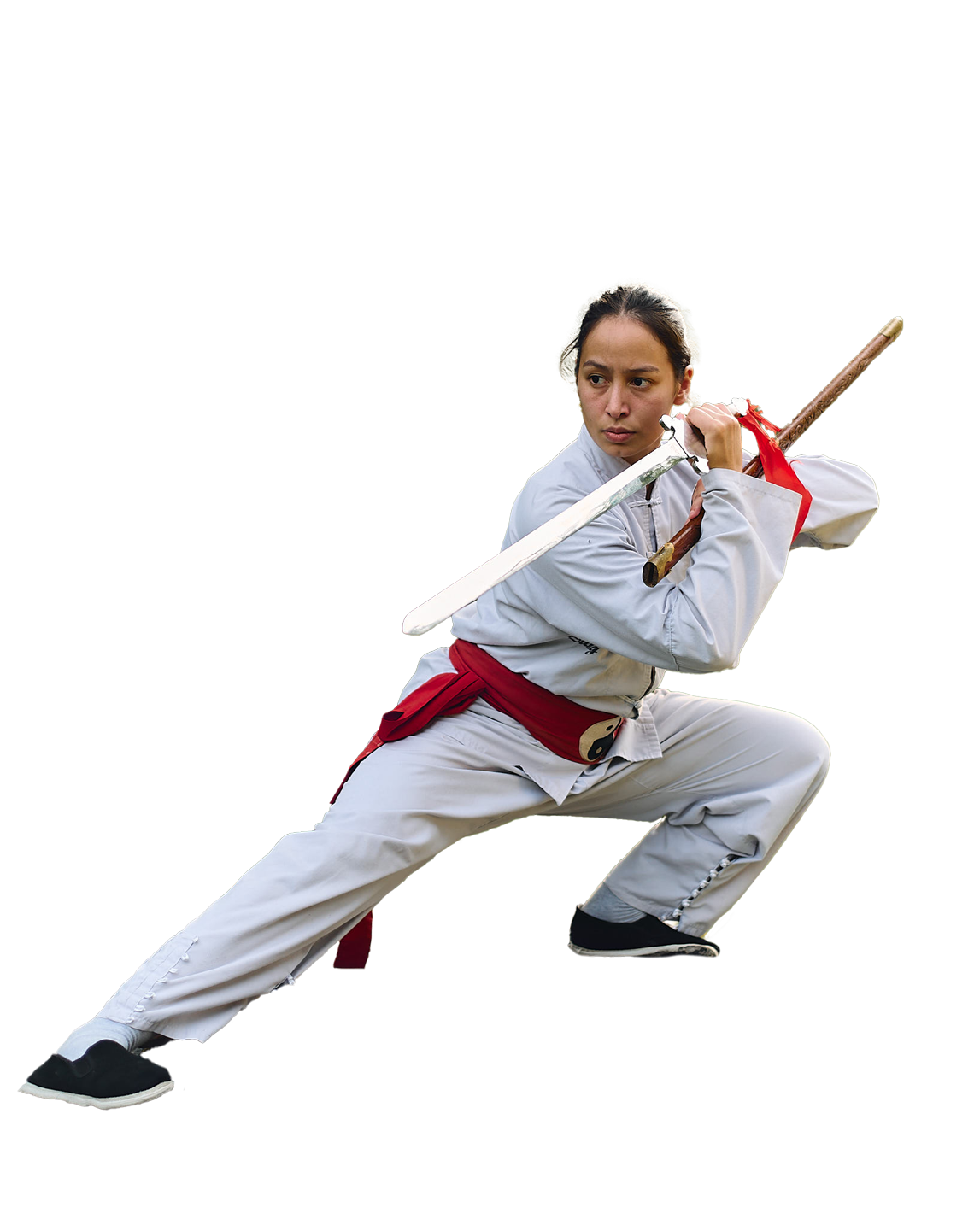 Main image of Shaolin Wing Chun Nam Anh Kung Fu