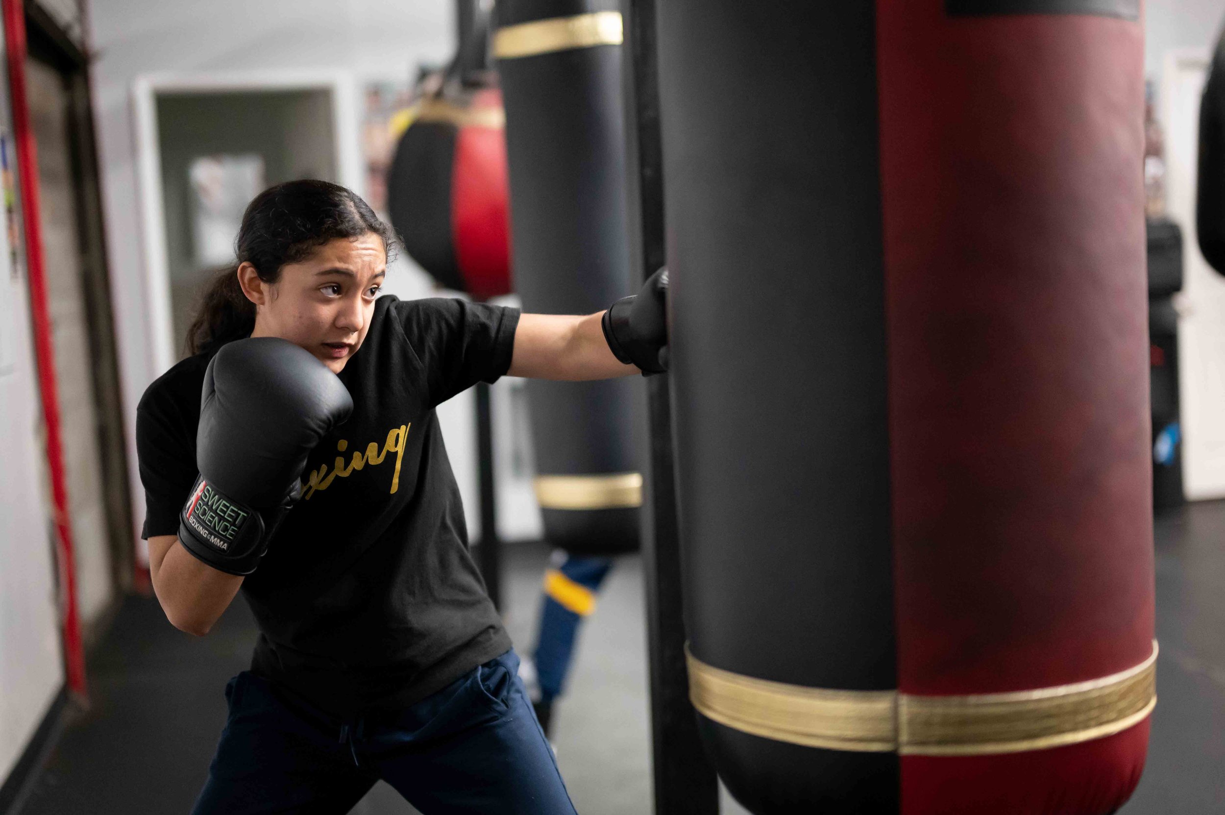 Shark Sports Boxing Gym academy image