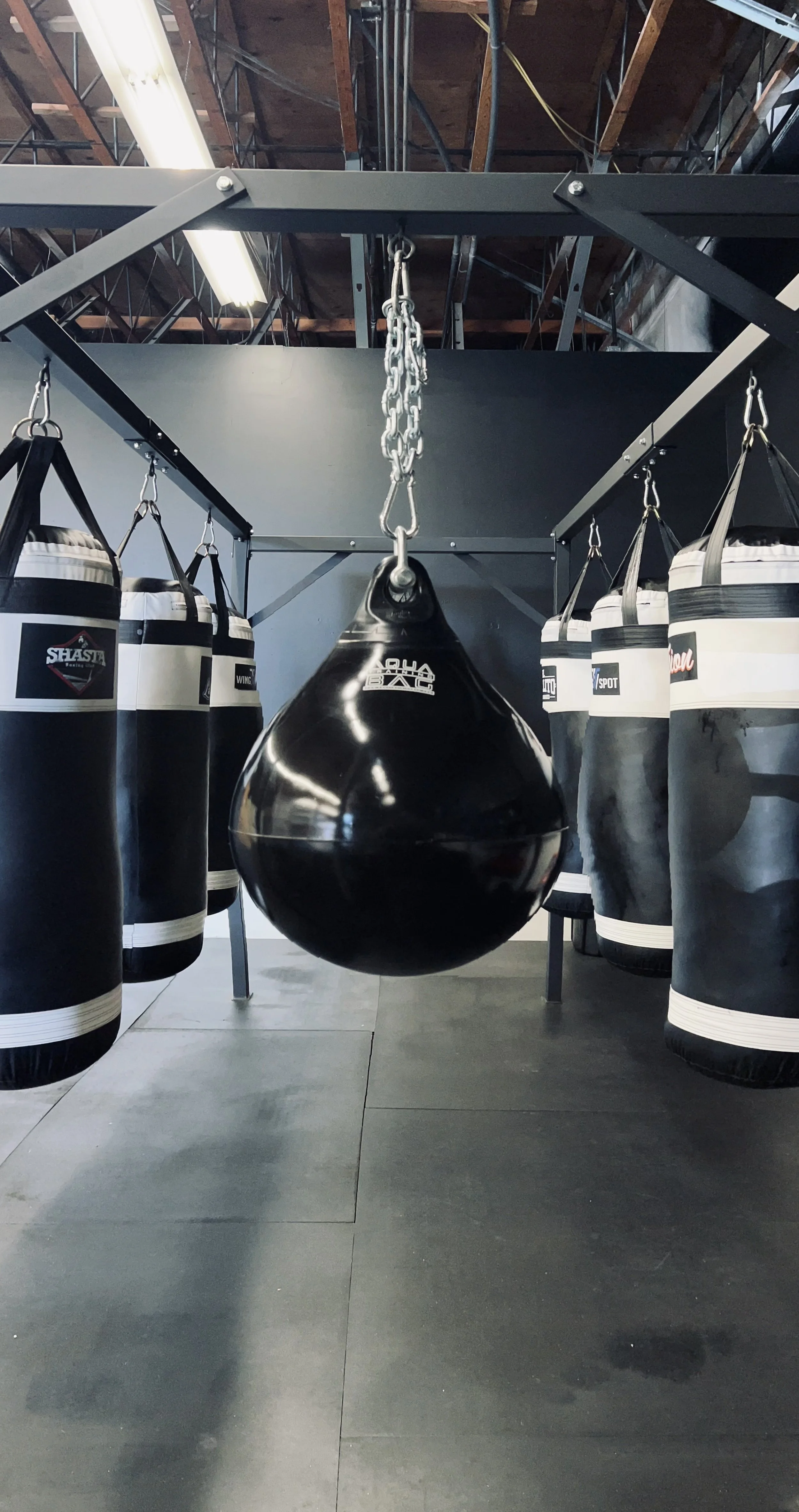 Shasta Boxing Club academy image