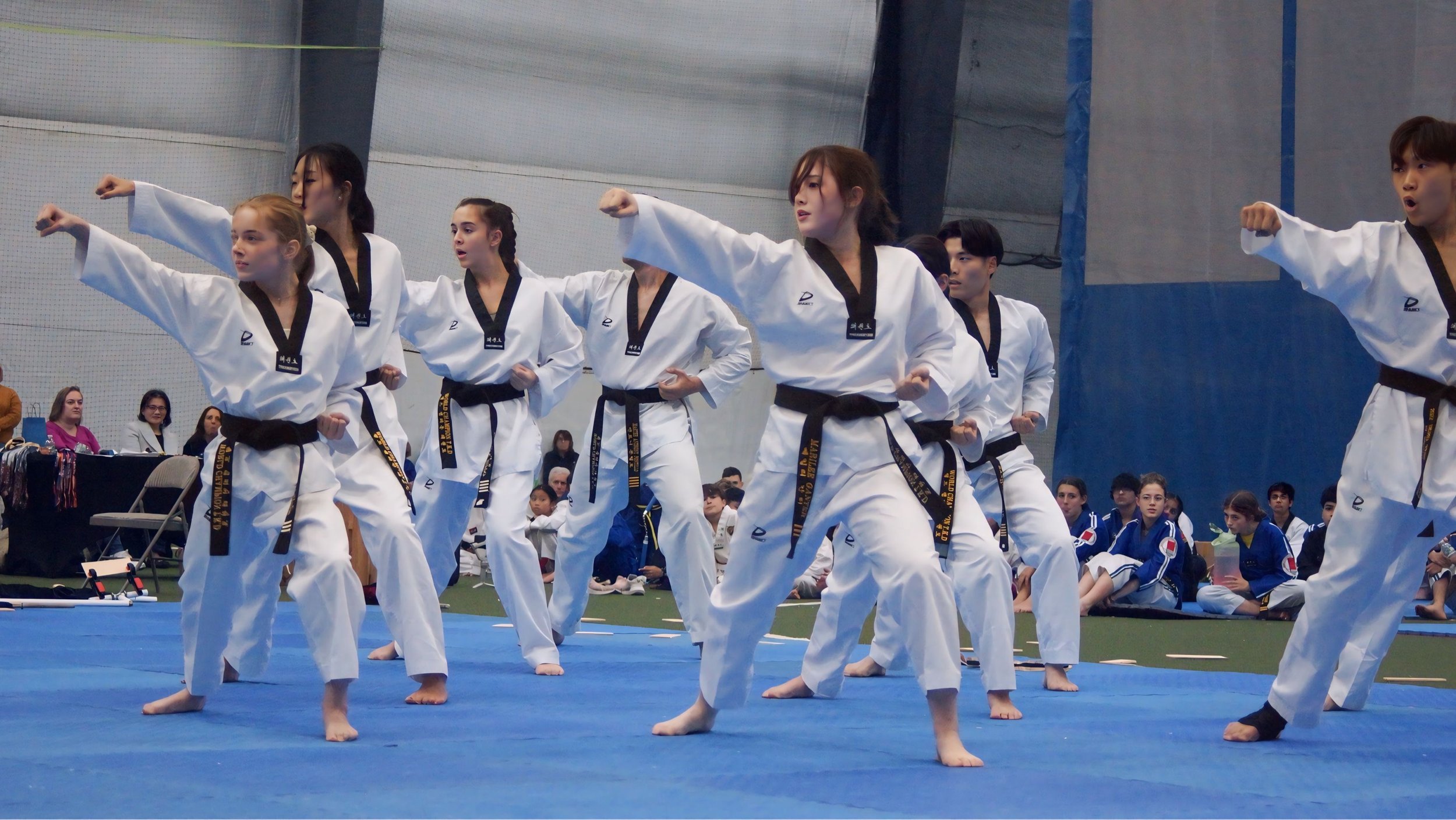 Main image of Shelton Martial Arts Academy
