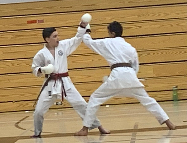 Main image of Sherwood Karate-Do