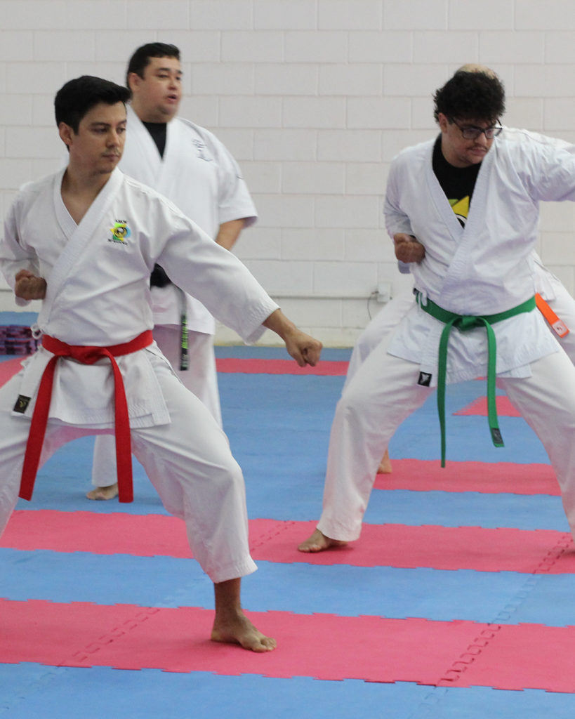 Main image of Shima Dojo - Artes Marciais