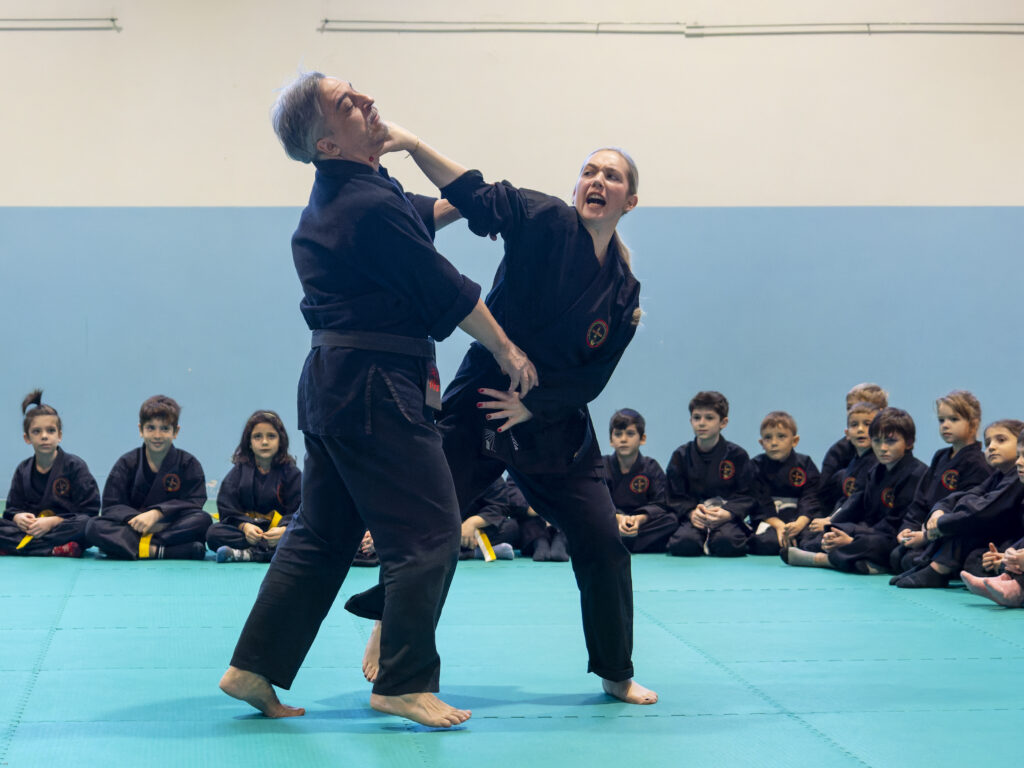 Main image of Shinghan Ju Jitsu Academy