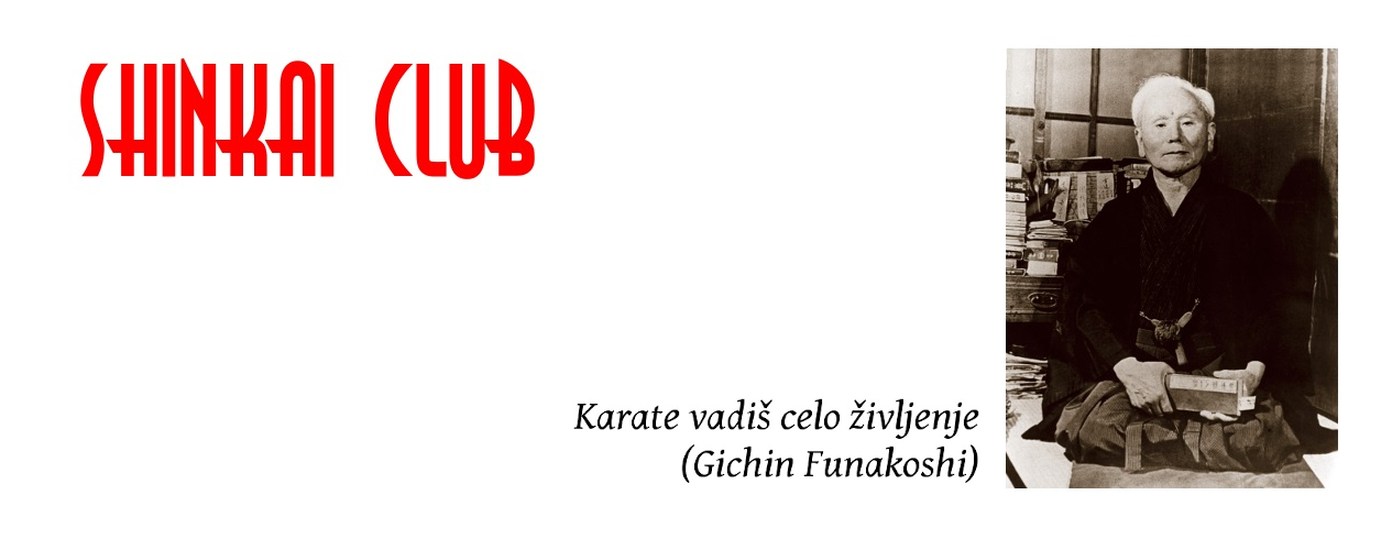 Main image of Shinkai Karate Club