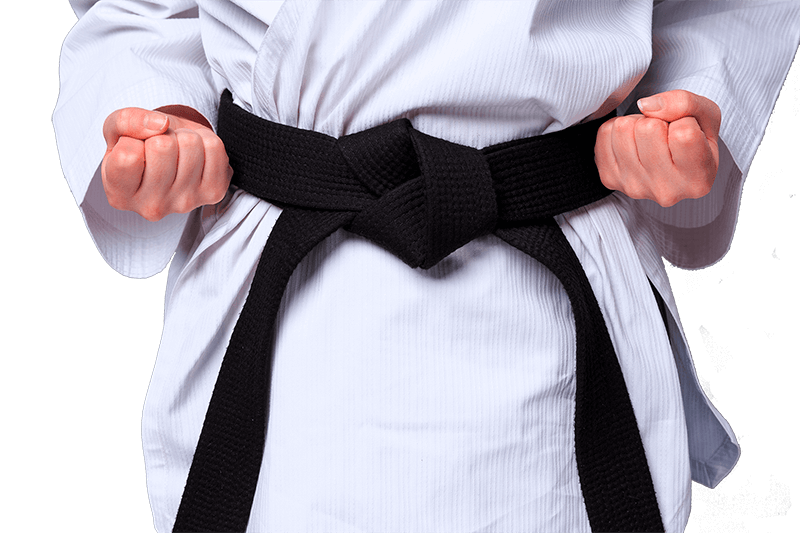 Main image of Shinken Karate Do Kai JKA