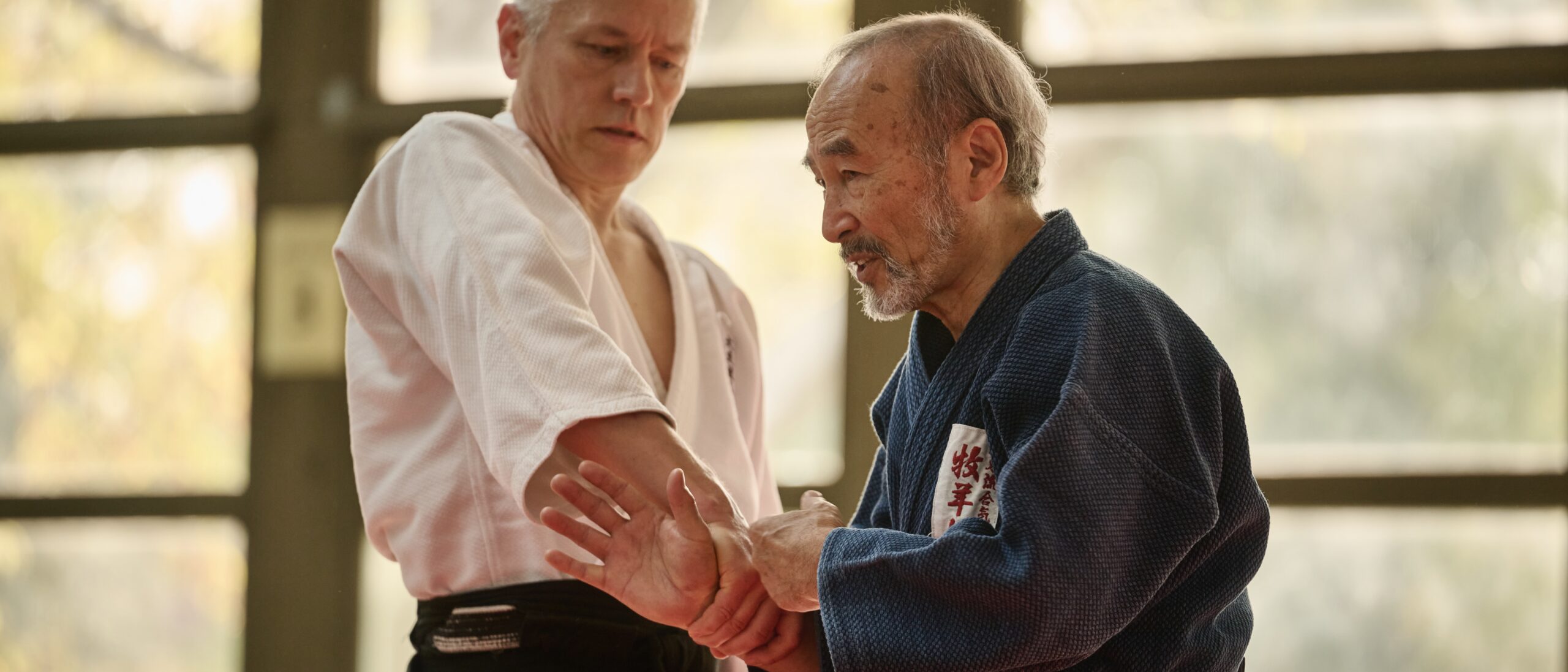 Main image of Shinki Dojo Dresden