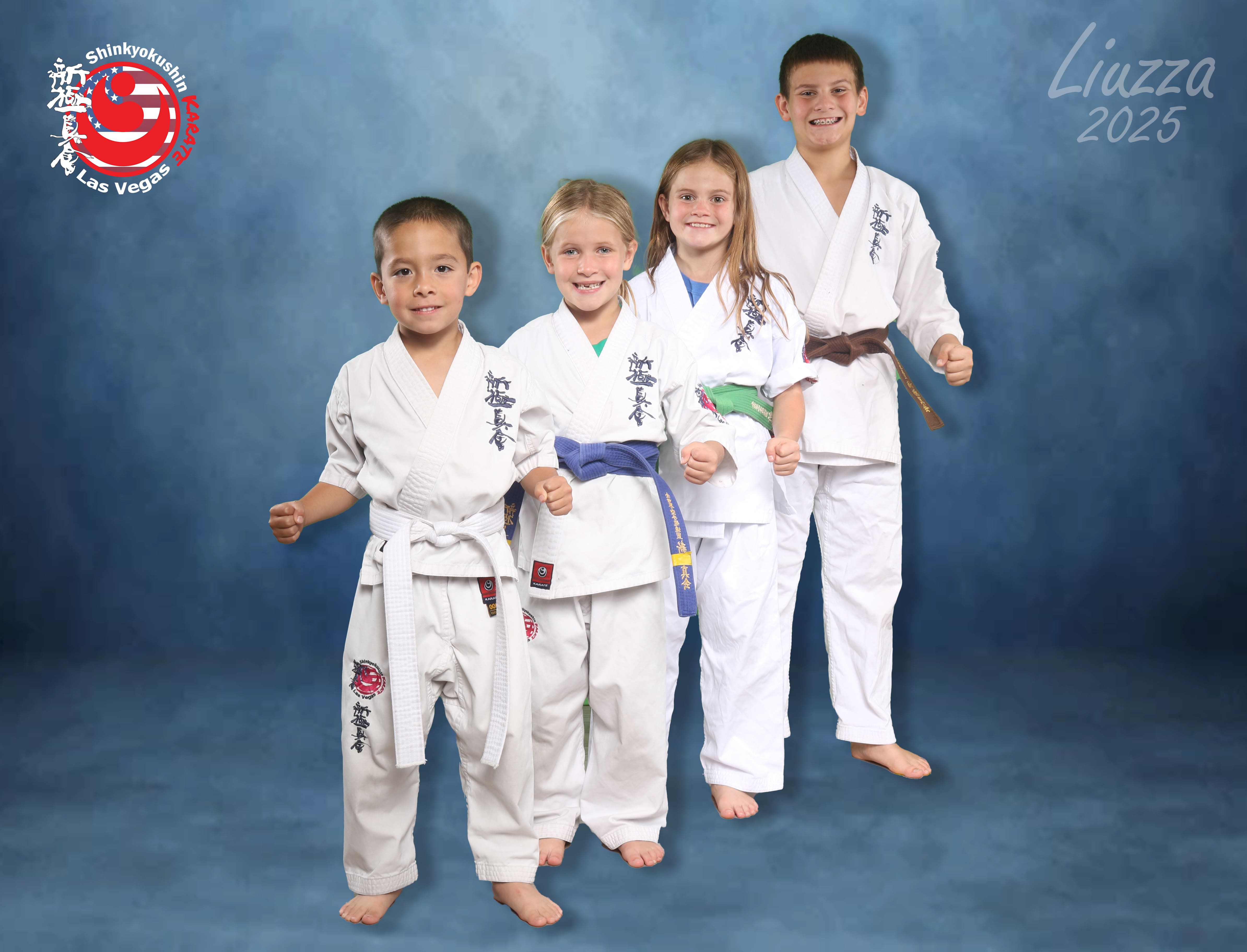 Main image of Shinkyokushin Karate