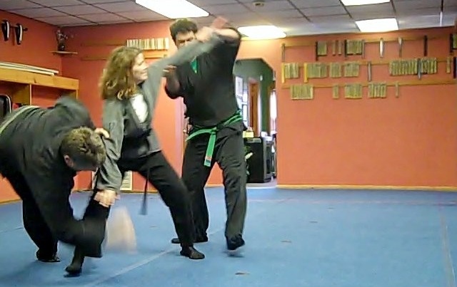 Main image of Shinobi Martial Arts