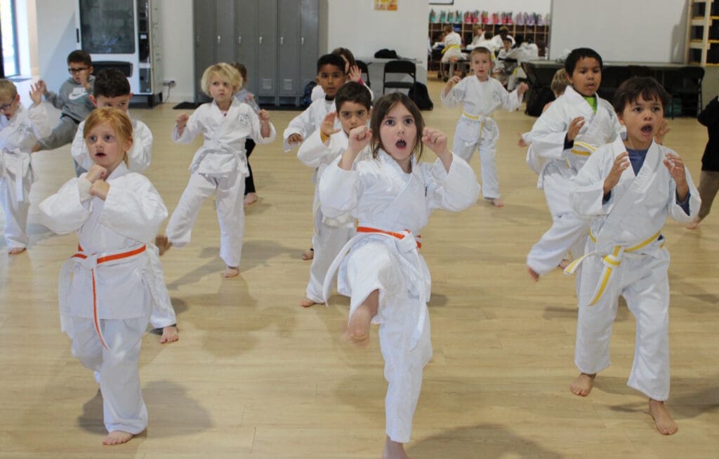 Main image of Shinsei Martial Arts & Fitness Center
