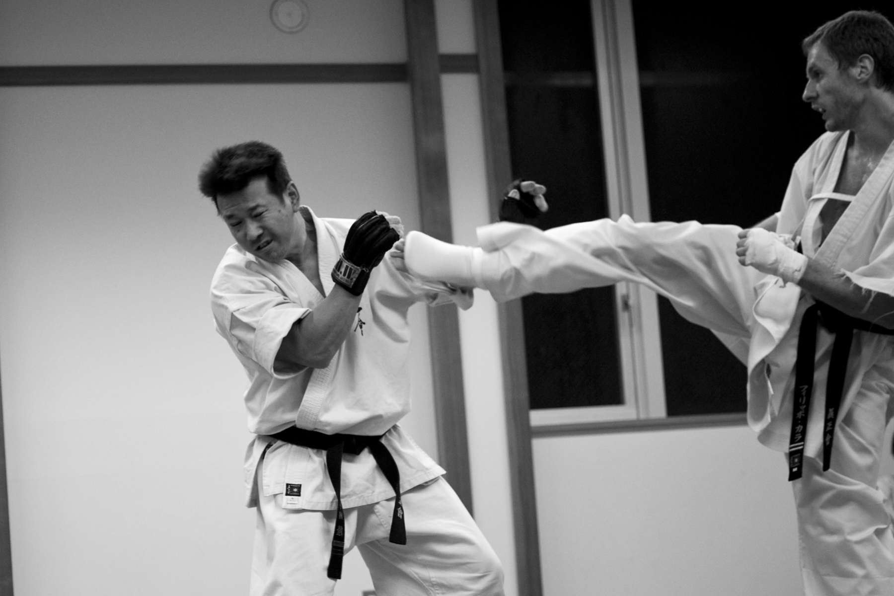 Main image of Shinseikai Fighting Karate Roma