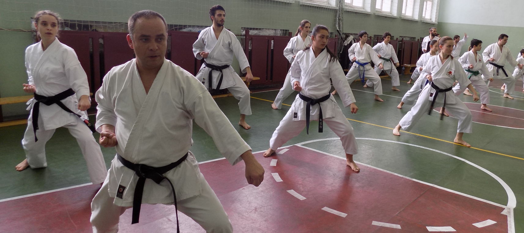 Main image of ShiSeiKan Dojo