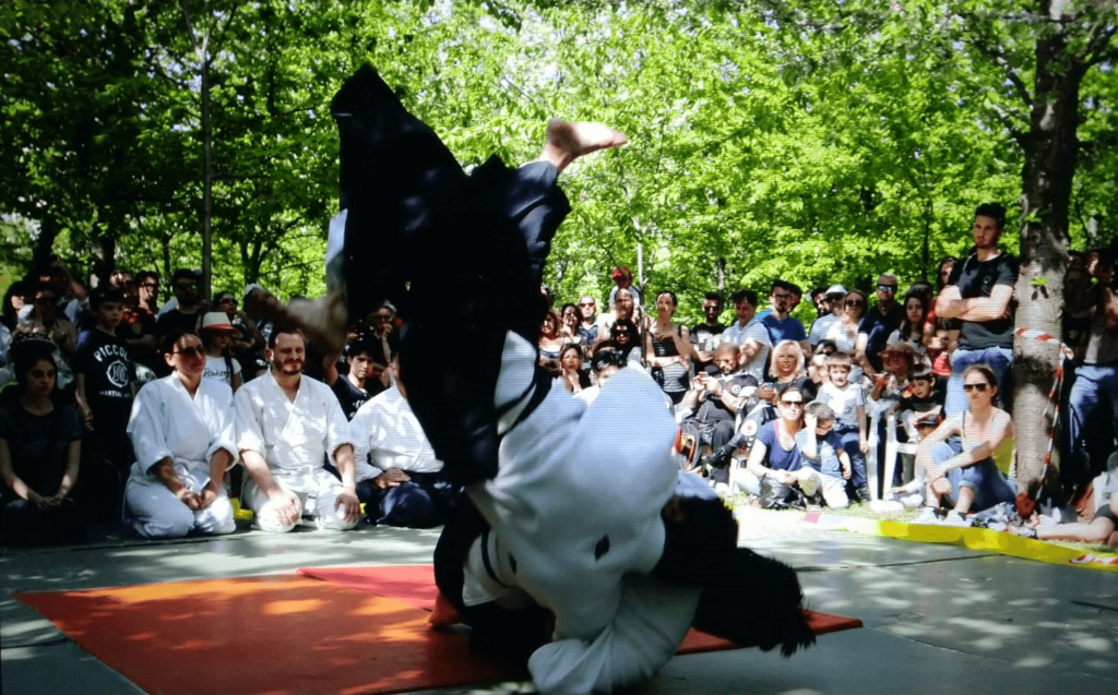Main image of Shiseikan Europe
