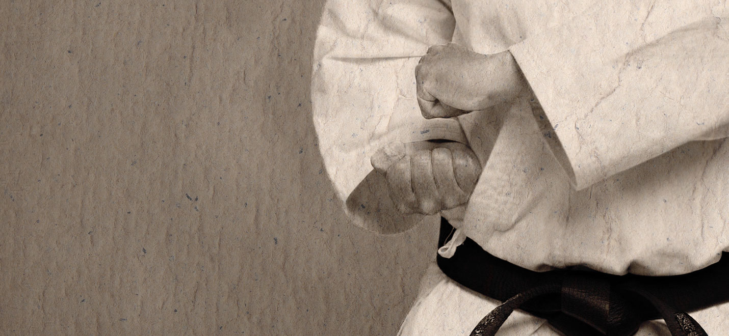 Main image of Shizendo Karate Do