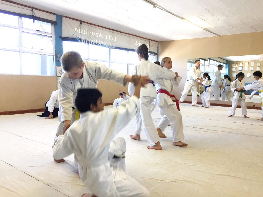 Main image of Shizentai Aikido Dojo