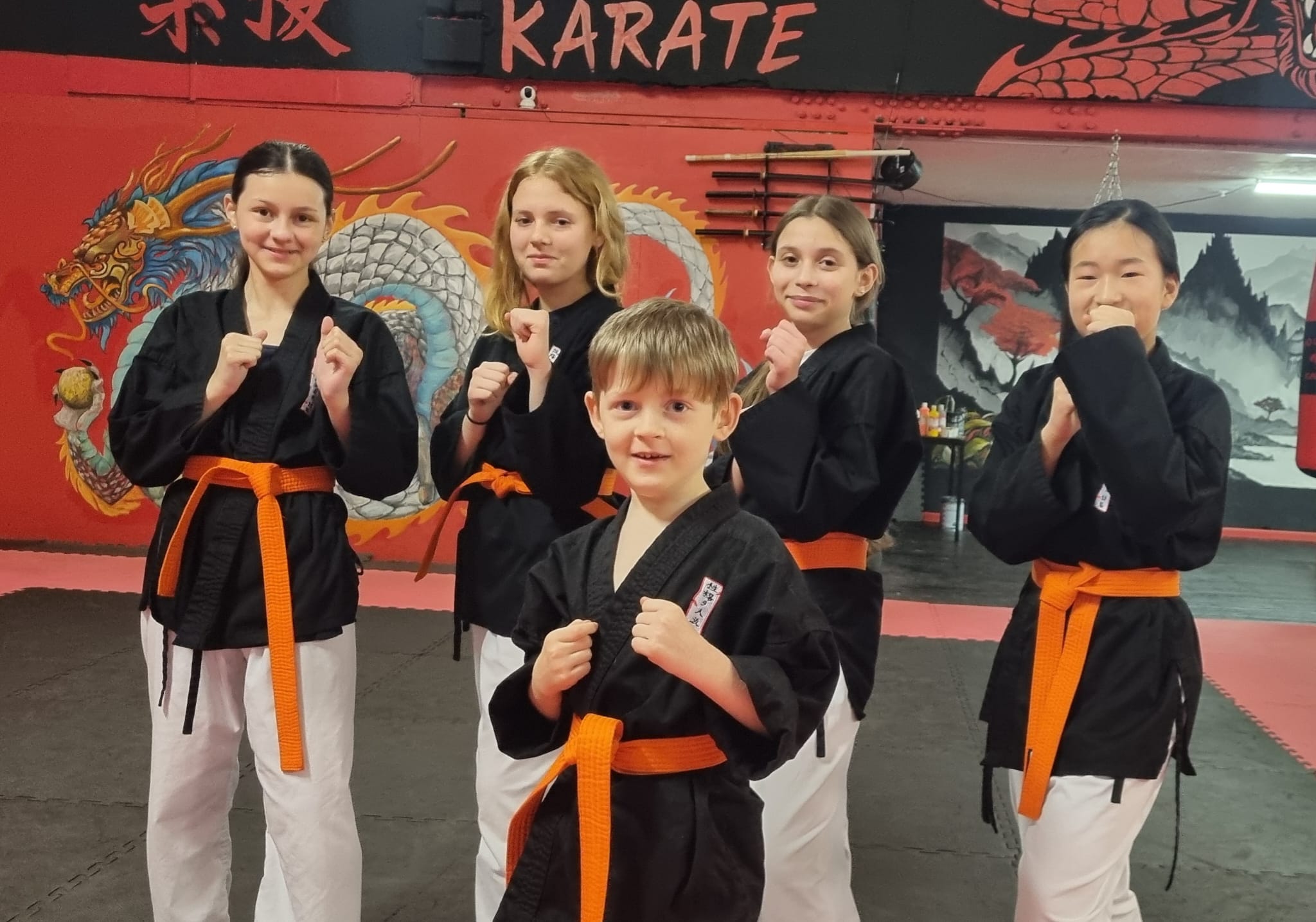 Main image of Sho Go Ryu Karate