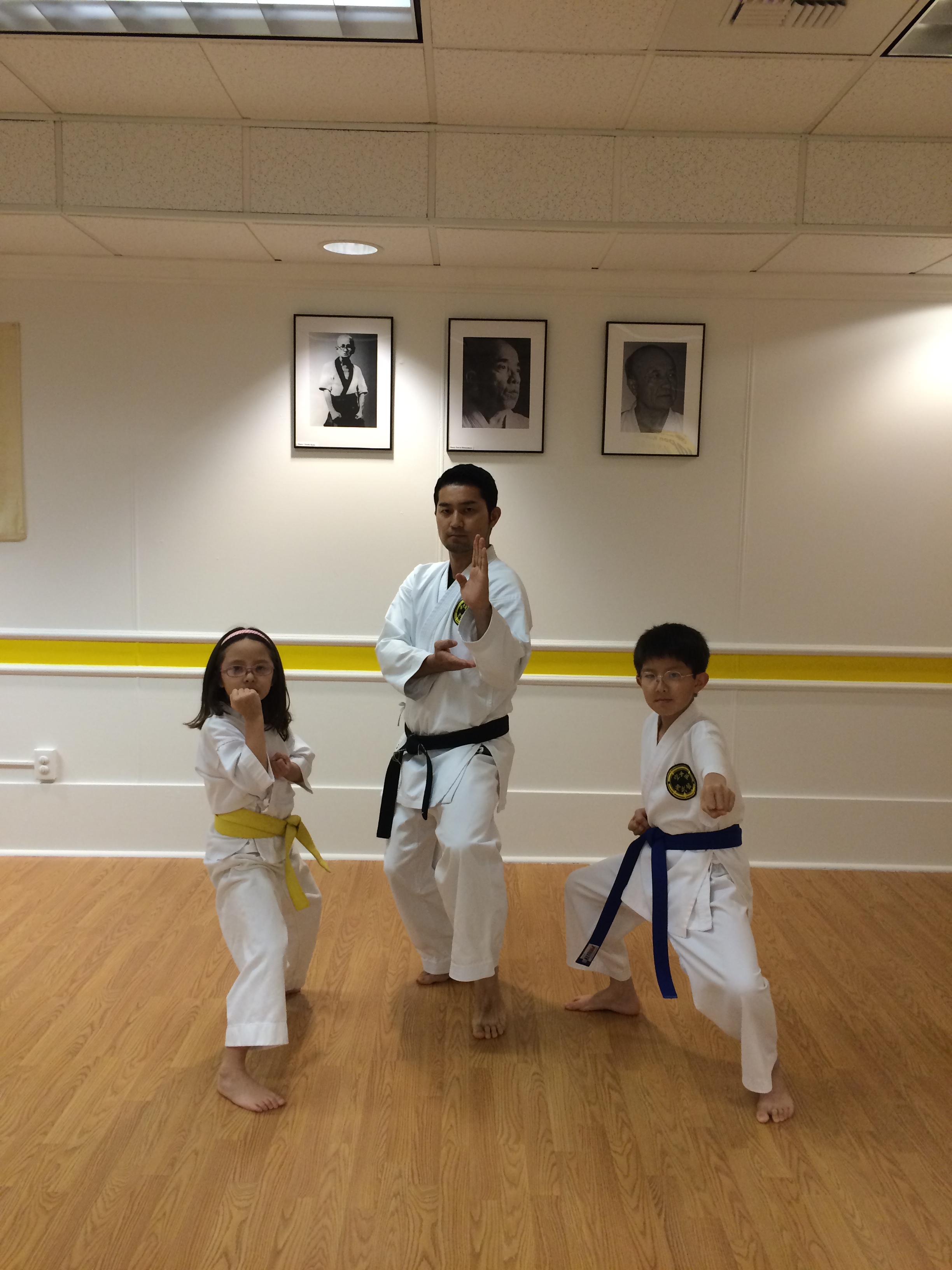 Main image of Sho-Rin-Ryu Seibukan Karatedo and Matayoshi Kobudo