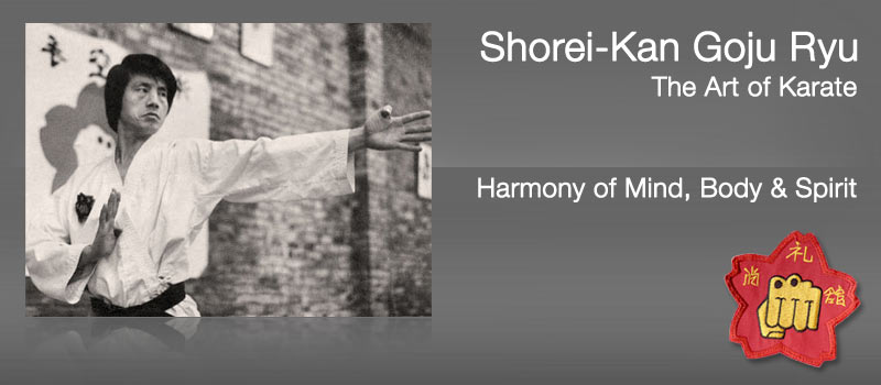 Main image of Shorei-Kan Okinawa Budo Kaisai-Do