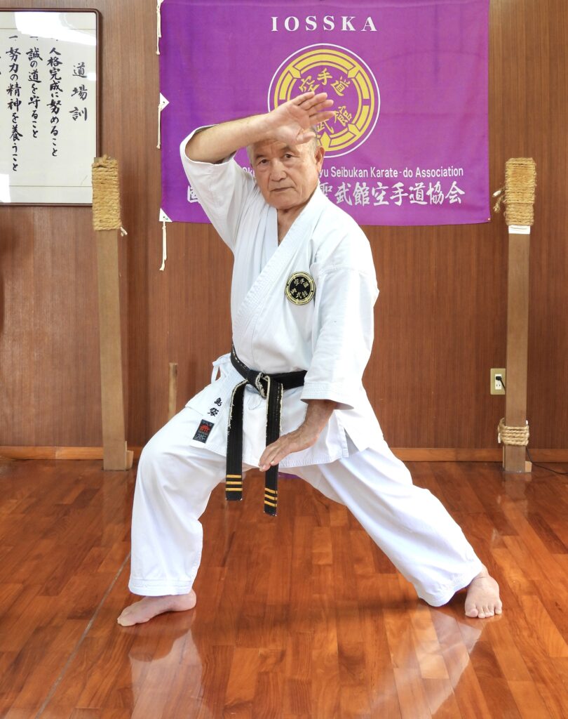 Main image of Shorin Ryu Seibukan Karate-Union Deutschland e.V.