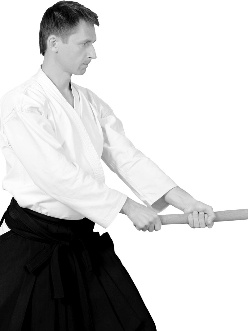 Main image of Shoshin Dojo