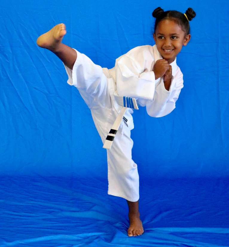 Main image of Shoshin Karate Academy