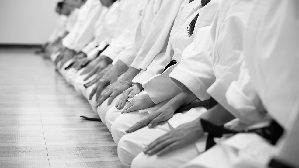 Main image of Shotokan Karate Academy Escalon
