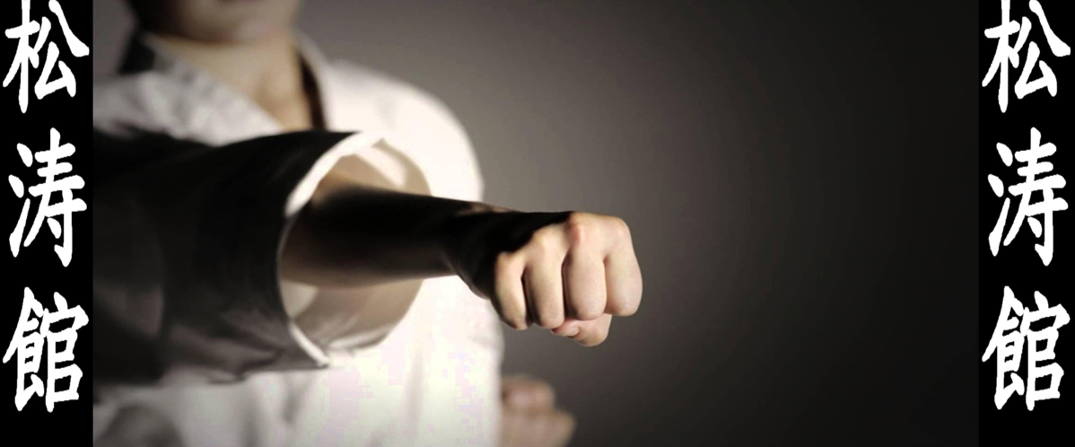 Main image of Shotokan Karate Do Indian Association