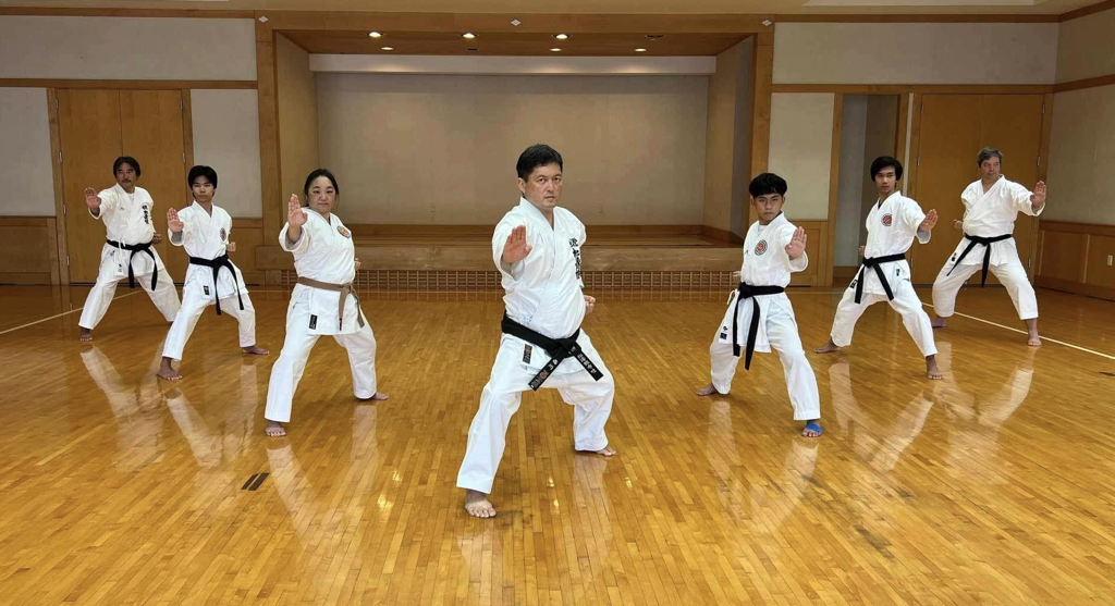 Main image of Shotokan Karate Do International Federation - SKIF JCCH
