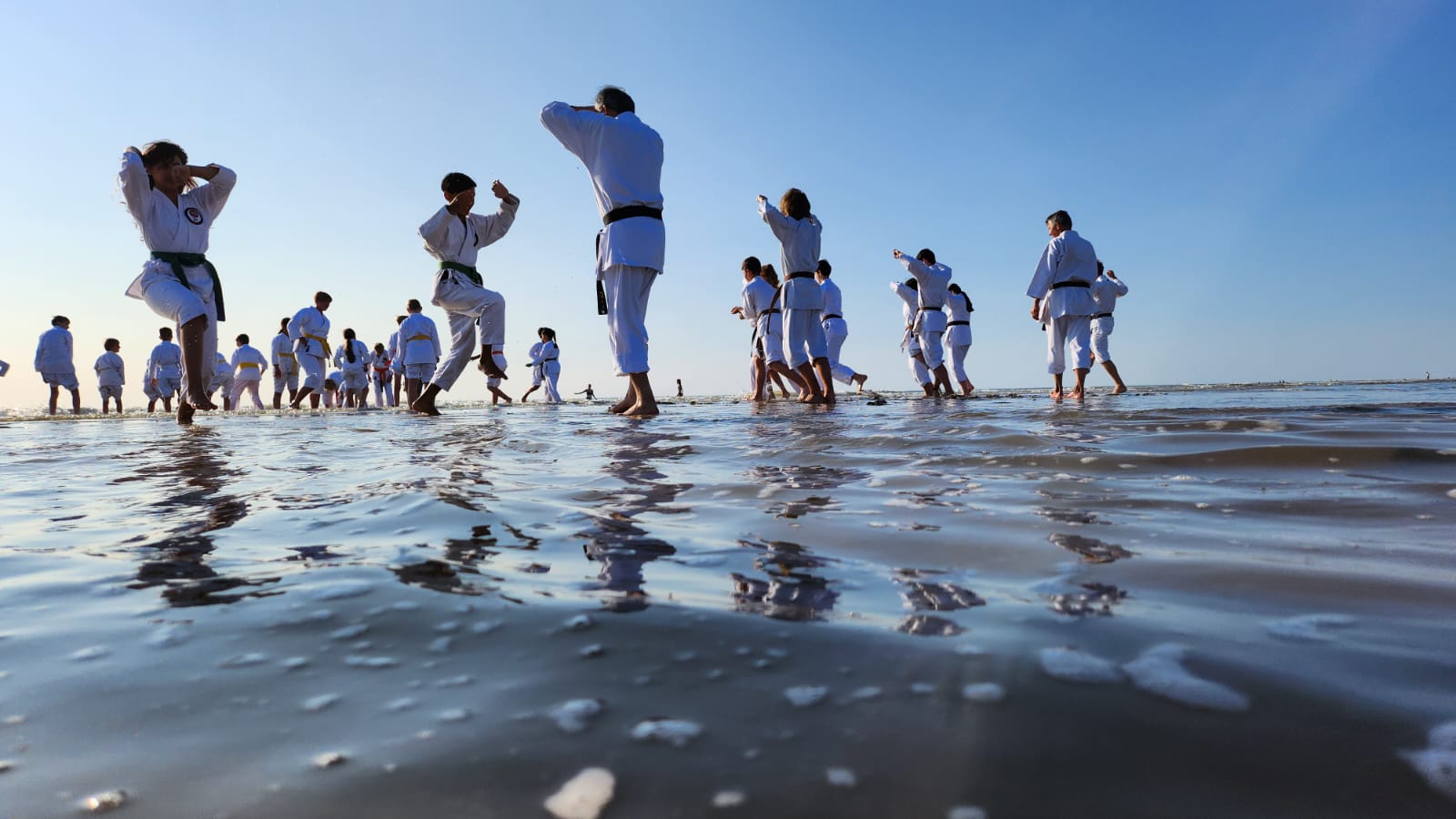Main image of Shotokan Karate Do vereniging Shisei