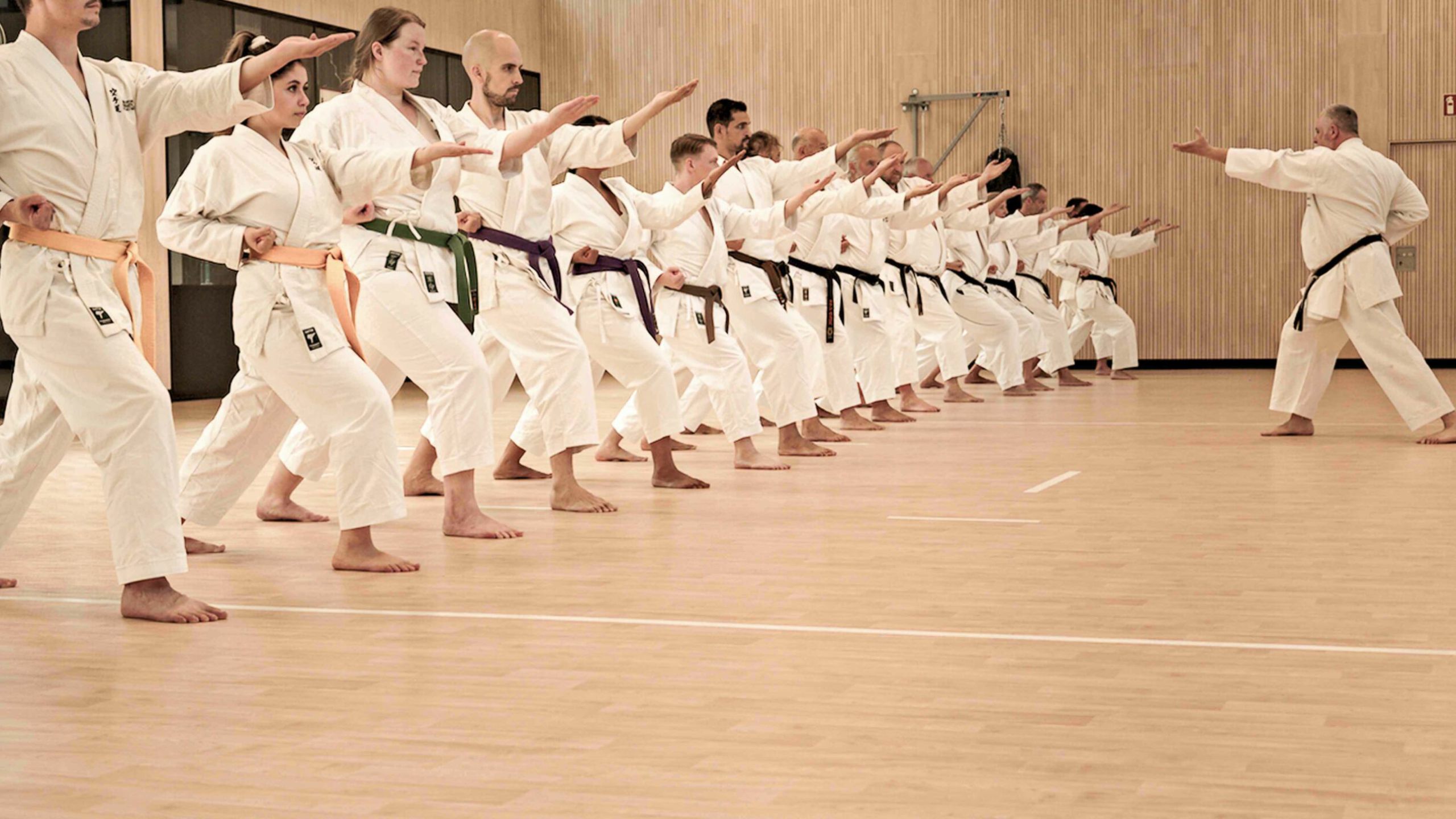 Main image of Shotokan Karate Dojo Münster