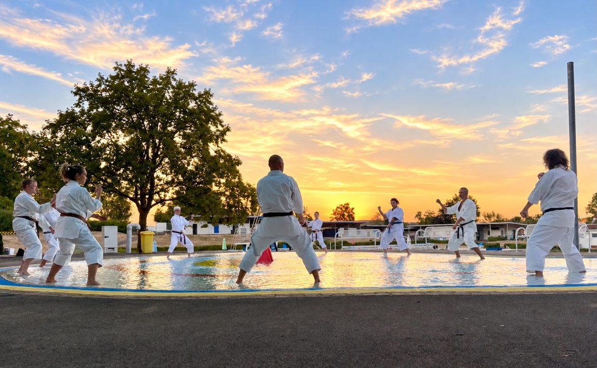 Main image of Shotokan Karate Dôkan Lauda
