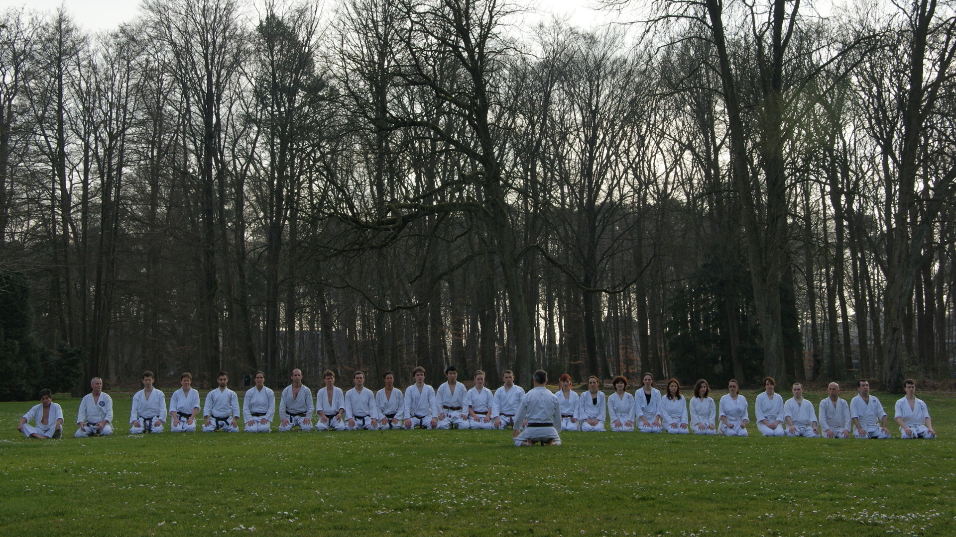 Main image of Shotokan Karate