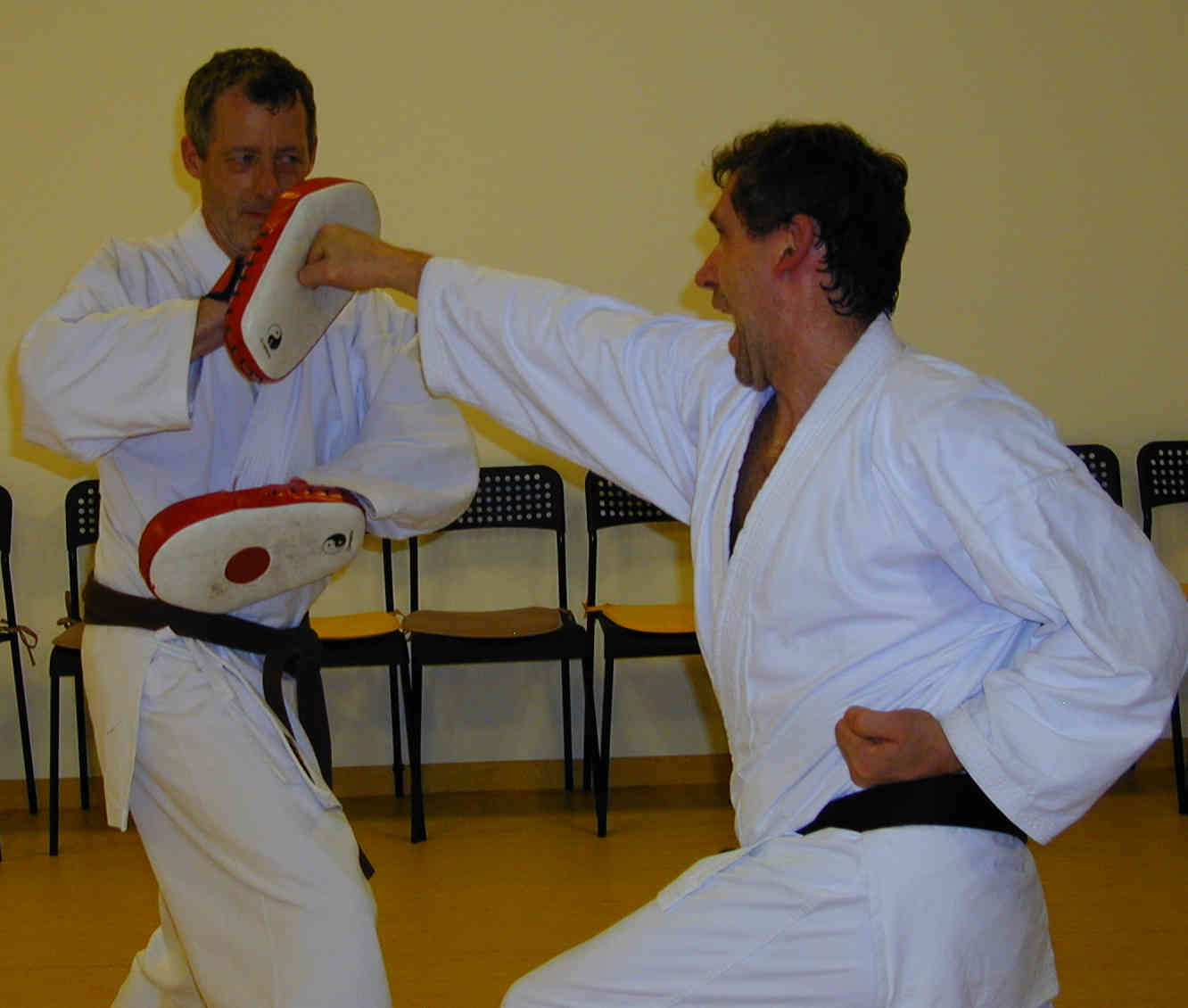 Main image of Shotokan Karate Wels